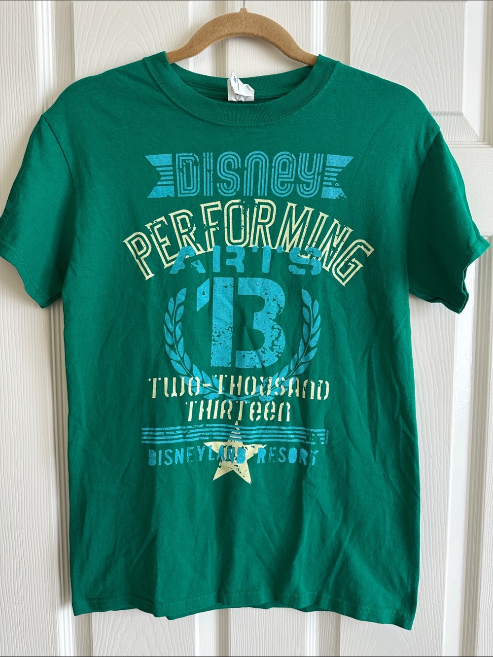 Anvil Green Disney Short Sleeve Youth Green Pre-washed Cotton T-Shirt